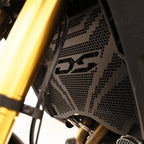VOGE DS800X Rally Stainless Steel Radiator Guard (2025–2026)