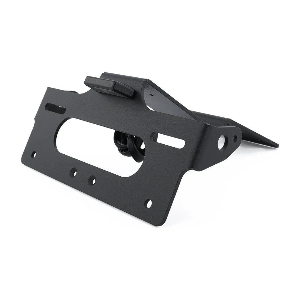 Fender Eliminator Tail Tidy with LED Plate Light for VOGE R625 (2025-2026)
