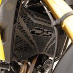 VOGE DS800X Rally Stainless Steel Radiator Guard (2025–2026)